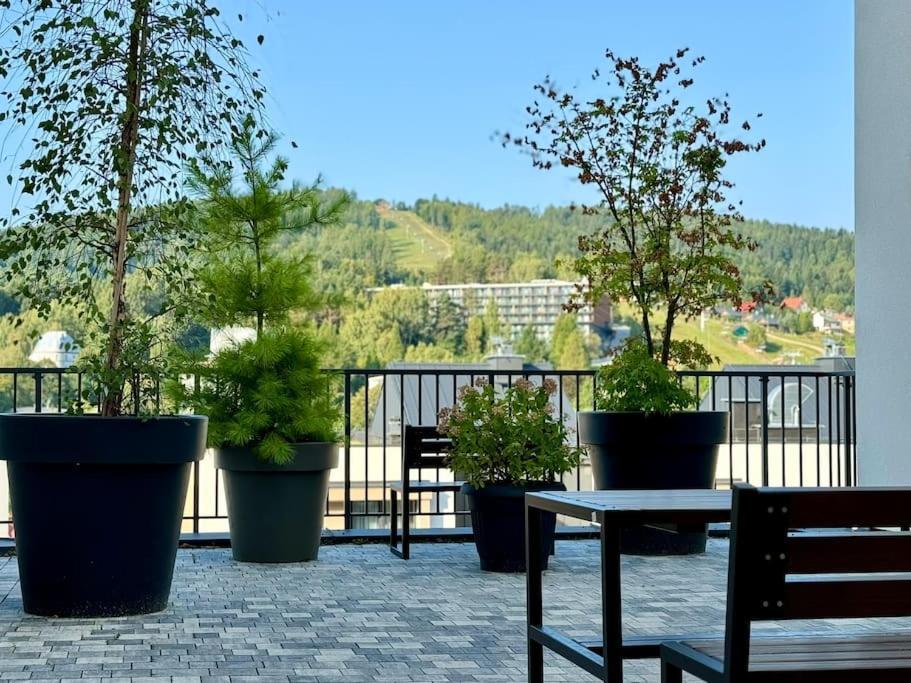 Art & High Studio Z Parkingiem Podziemnym Krynica-Zdrój Exteriör bild